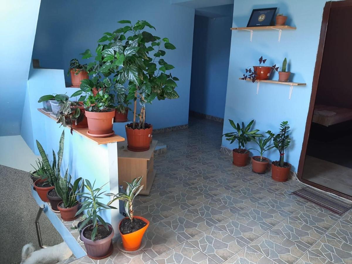 Casa Ana 招待所 *